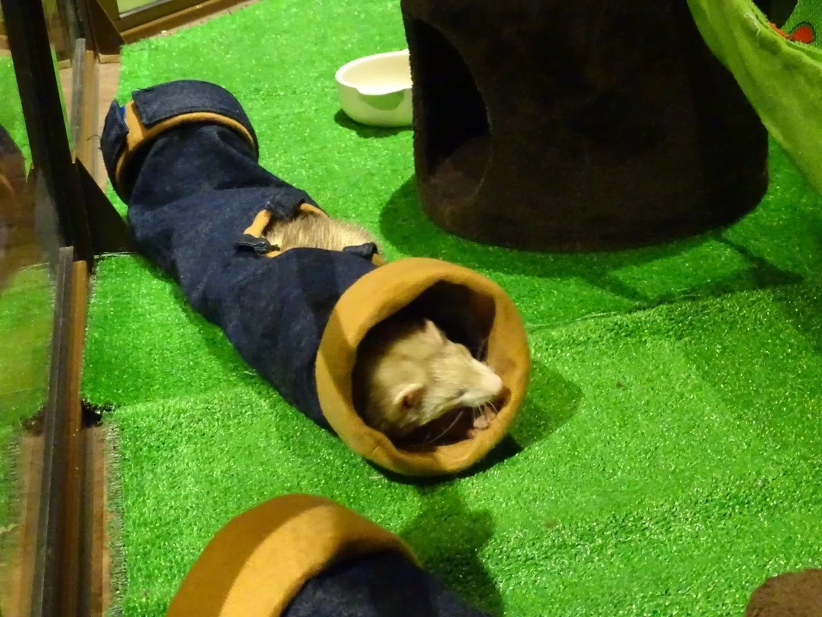 画像18