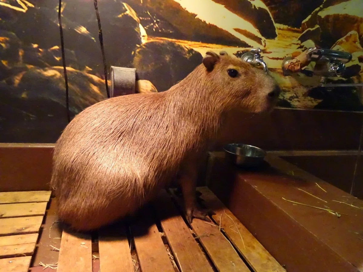 画像22