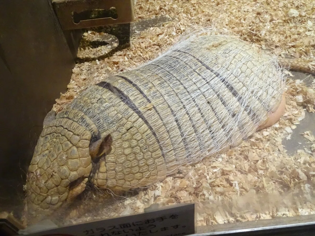 画像21