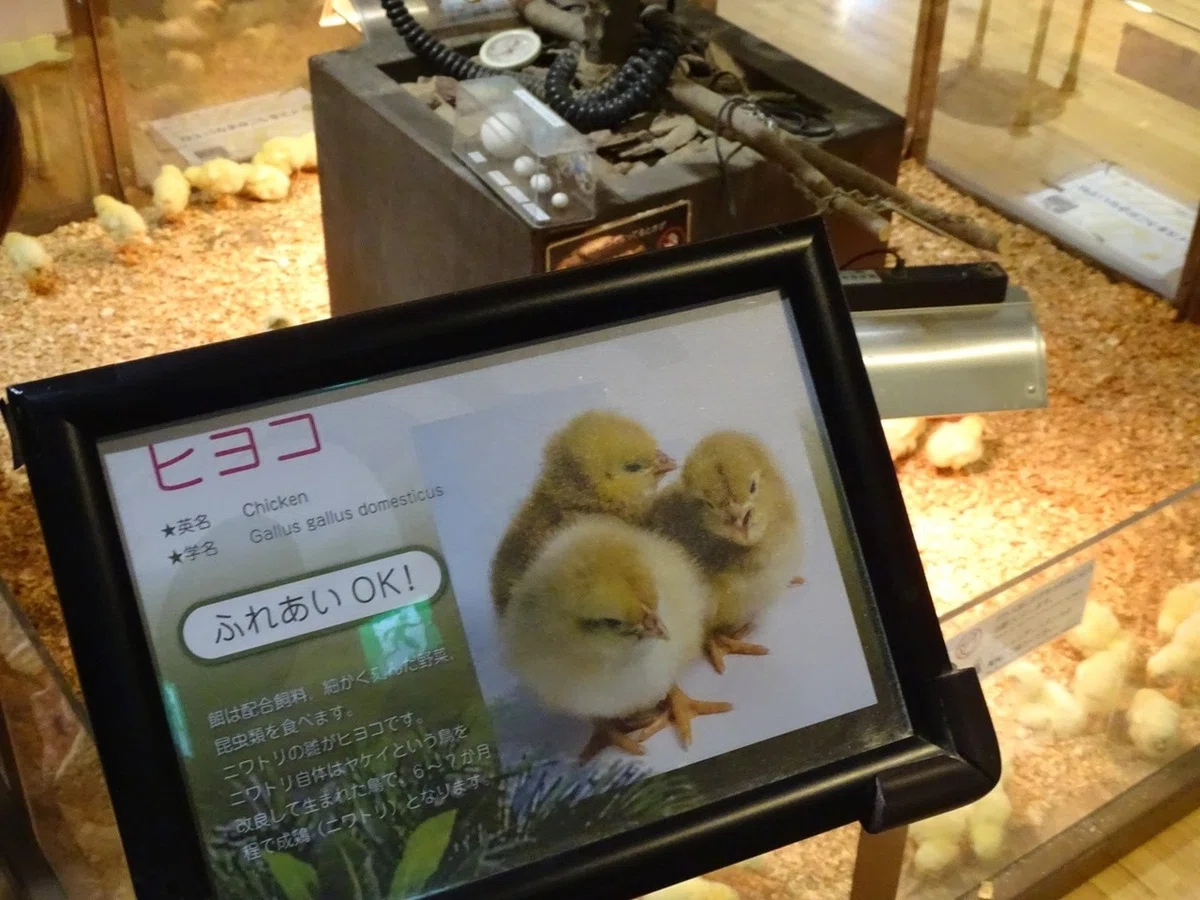 画像28