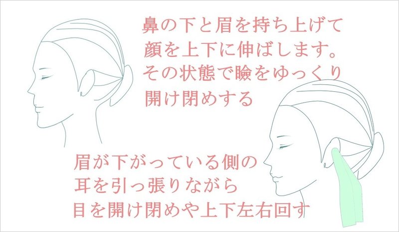 眉の高さが左右違うなおす方法 マッサージと体操のやり方 お顔の整体師 戸塚哲春 Note