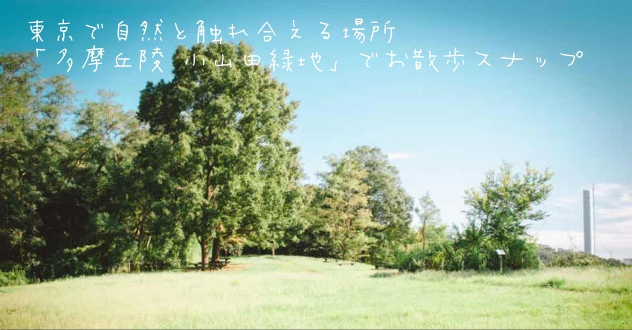 東京で自然と触れ合える場所 「多摩丘陵 小山田緑地」でお散歩スナップ