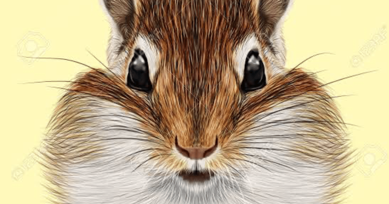 娘ちゃんは リスになりたいお年頃 サミー パパ3年生 Note