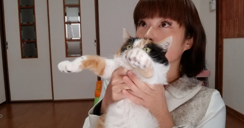 芸人と付き合う為にdmですべきこと ロリィタ族 Note 芸人と付き合う為にdmですべきこと ロリィタ族 Note