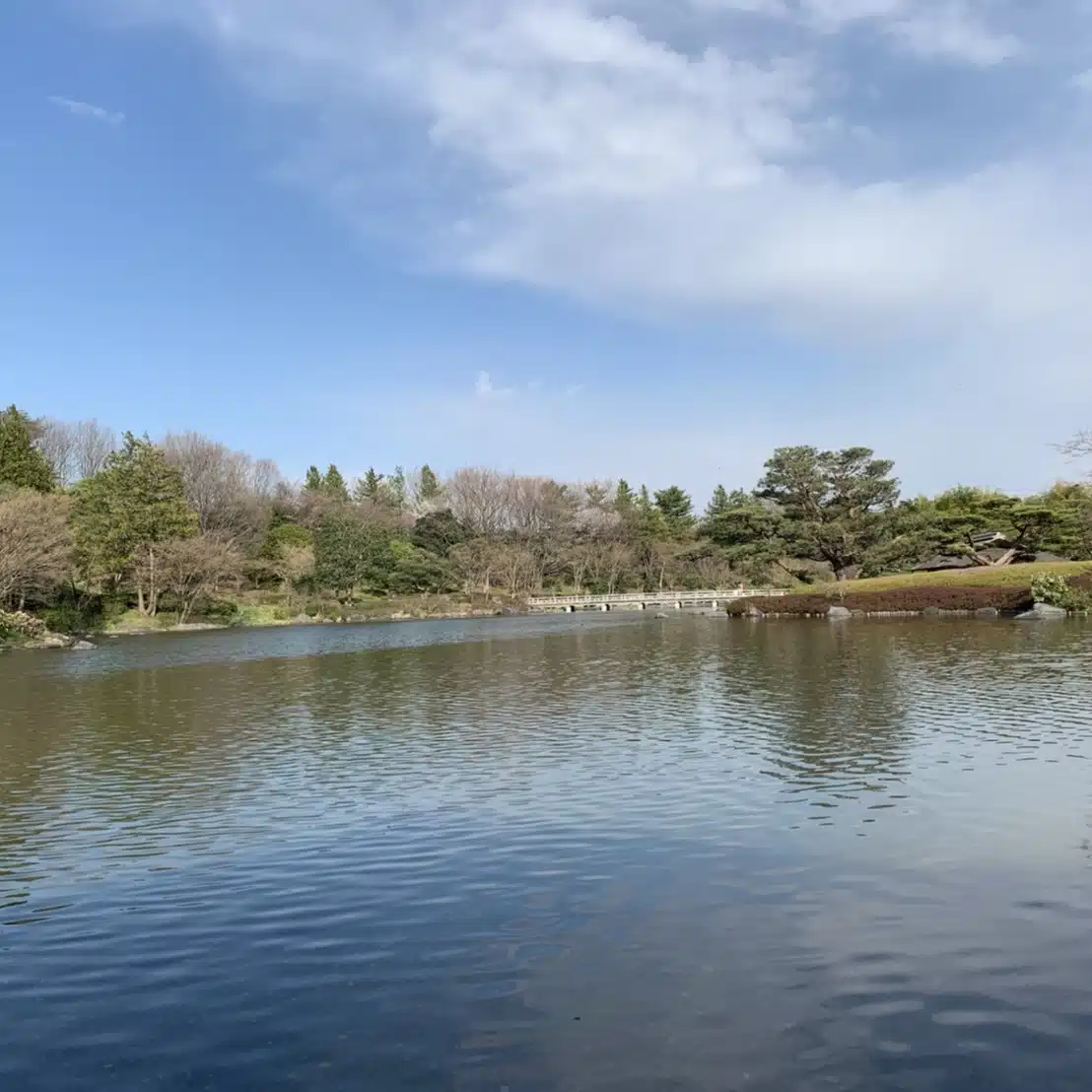 醤油バー