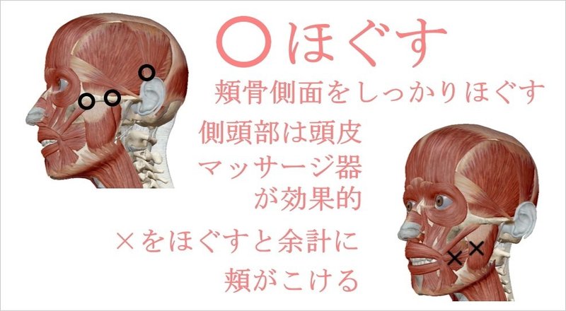 頬こけ原因となおし方 表情筋の体質改善とトレーニング方法 お顔の整体師 戸塚哲春 Note 頬こけ原因となおし方 表情筋の体質改善とトレーニング方法 お顔の整体師 戸塚哲春 Note