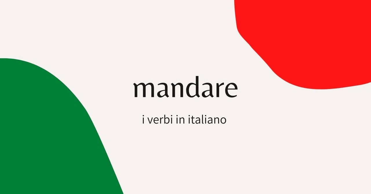 mandare｜YUJI-san