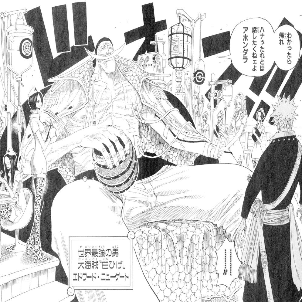 ワンピース ミニクリアファイルコレクション ホワイト WHITE マルコ 白ひげ 2026年最新】タイトル：ワンピース クリアファイルの人気アイテム