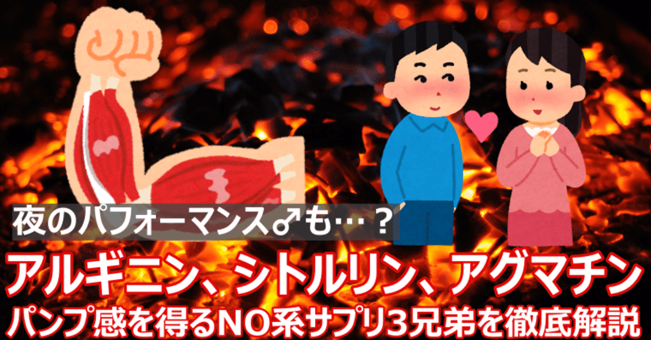 サプリメント入門 No系サプリ3種 アルギニン シトルリン アグマチンの効果と使い方 夜のパフォーマンスも Napo Fitness Note