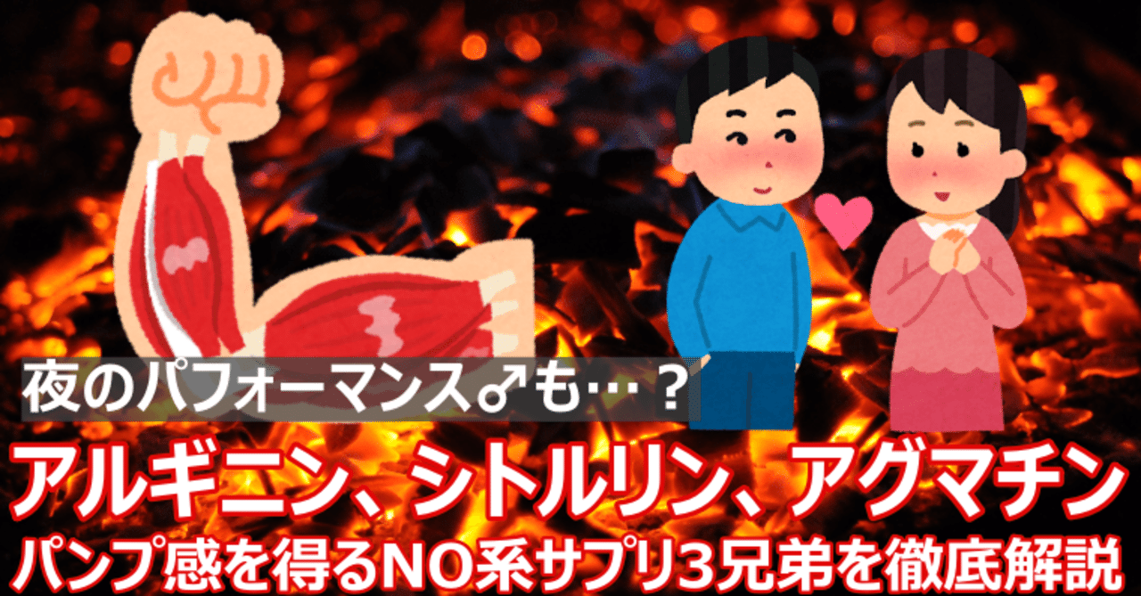 サプリメント入門 No系サプリ3種 アルギニン シトルリン アグマチンの効果と使い方 夜のパフォーマンスも Napo Fitness Note サプリメント入門 No系サプリ3種 アルギニン シトルリン アグマチンの効果と使い方 夜のパフォーマンスも Napo Fitness Note