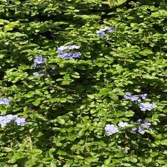 作品「フタを開ける」｜西尾勝彦