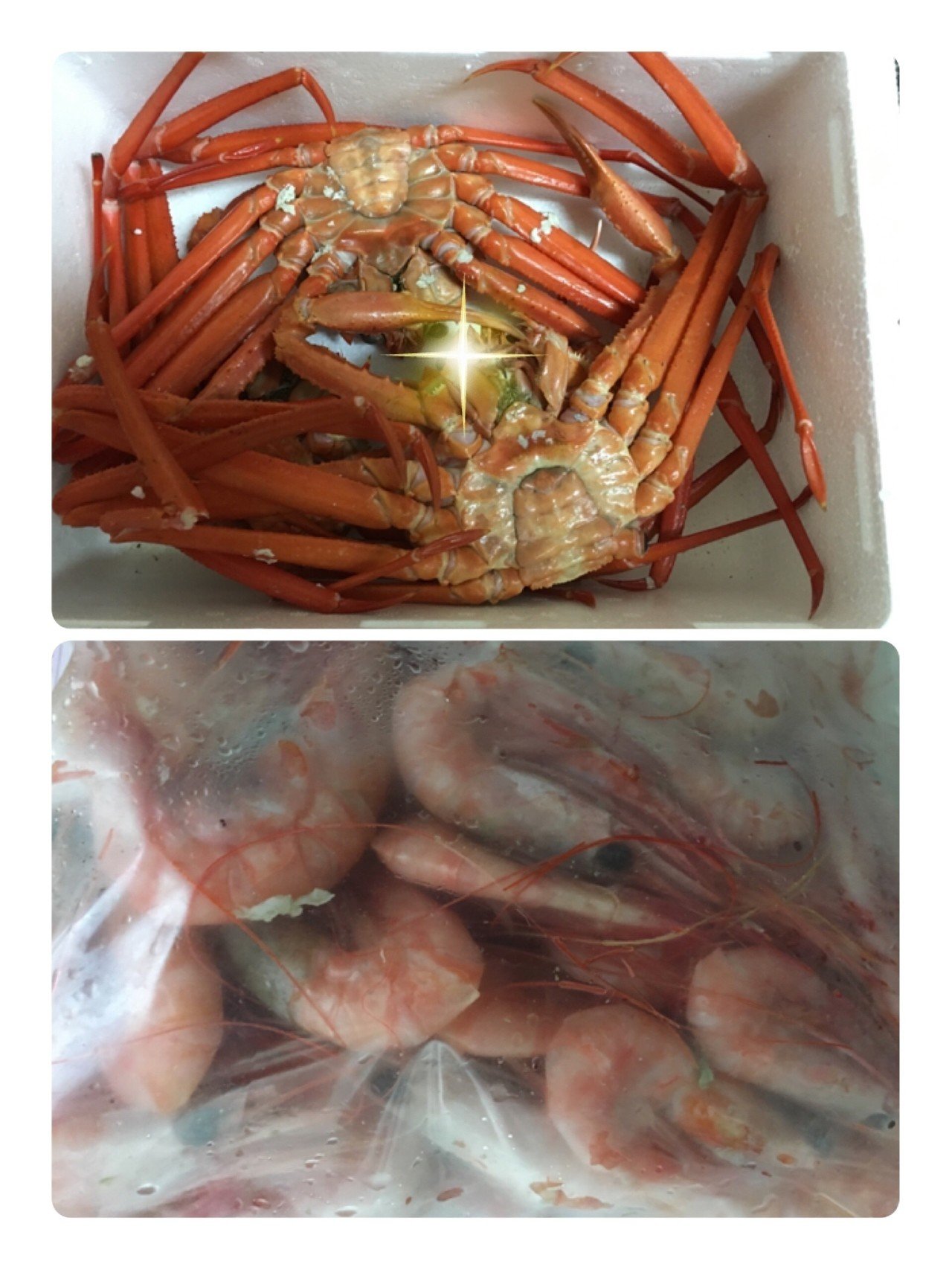 エビ カニ ダンス を三男が踊っちゃうくらい 夕べは海老と蟹でした 佐渡から送ってきたの 海老も蟹もまだまだありまーす 今夜もエビカニ三昧です エビカニ エビカニ かねきょ 漫画 イラスト Note