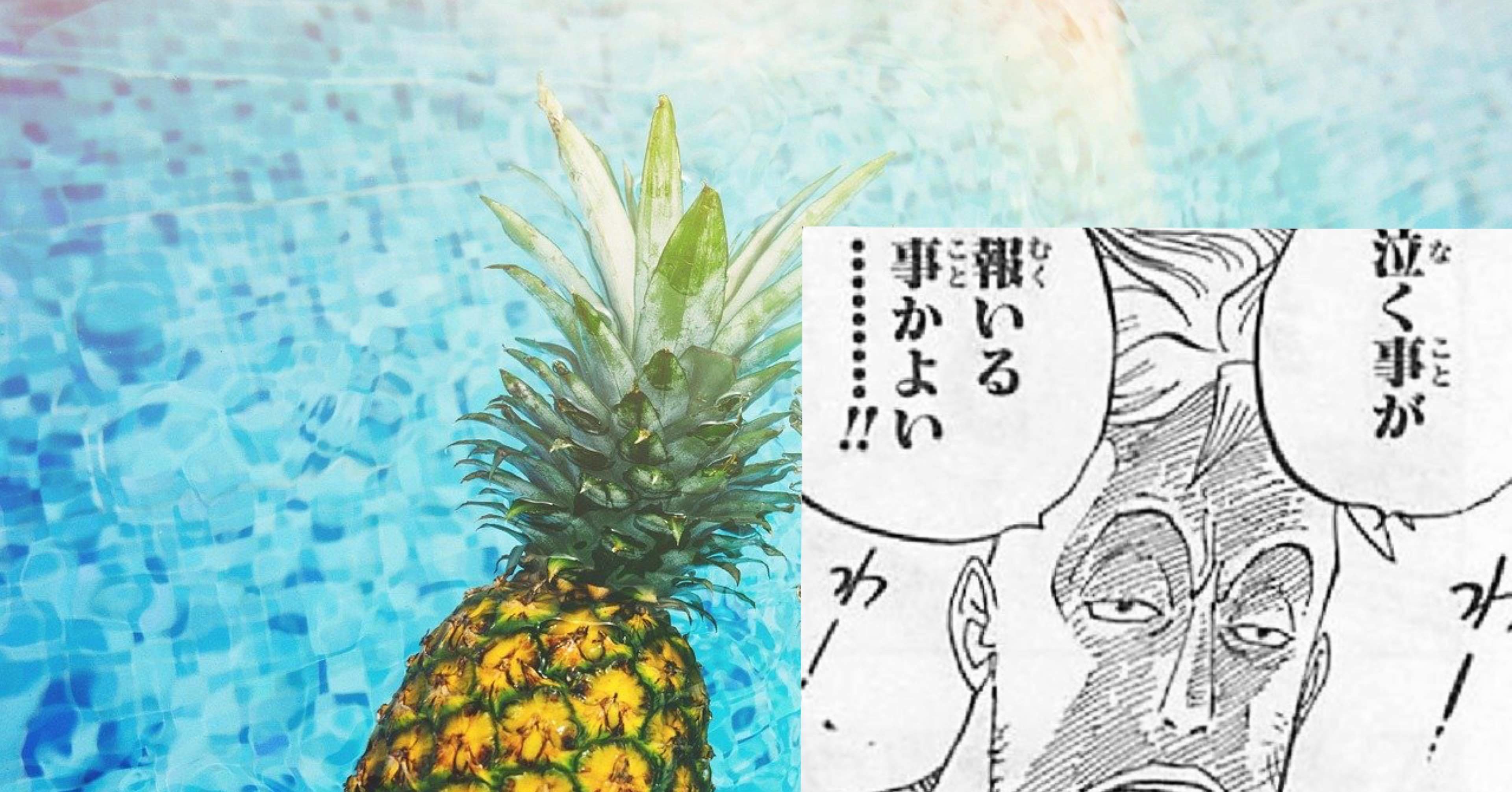 ビジネスマンなら 白ひげ海賊団 マルコをロールモデルにすべき しいらけい Note ビジネスマンなら 白ひげ海賊団 マルコをロールモデルにすべき しいらけい Note