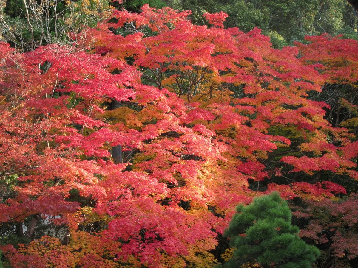 画像9