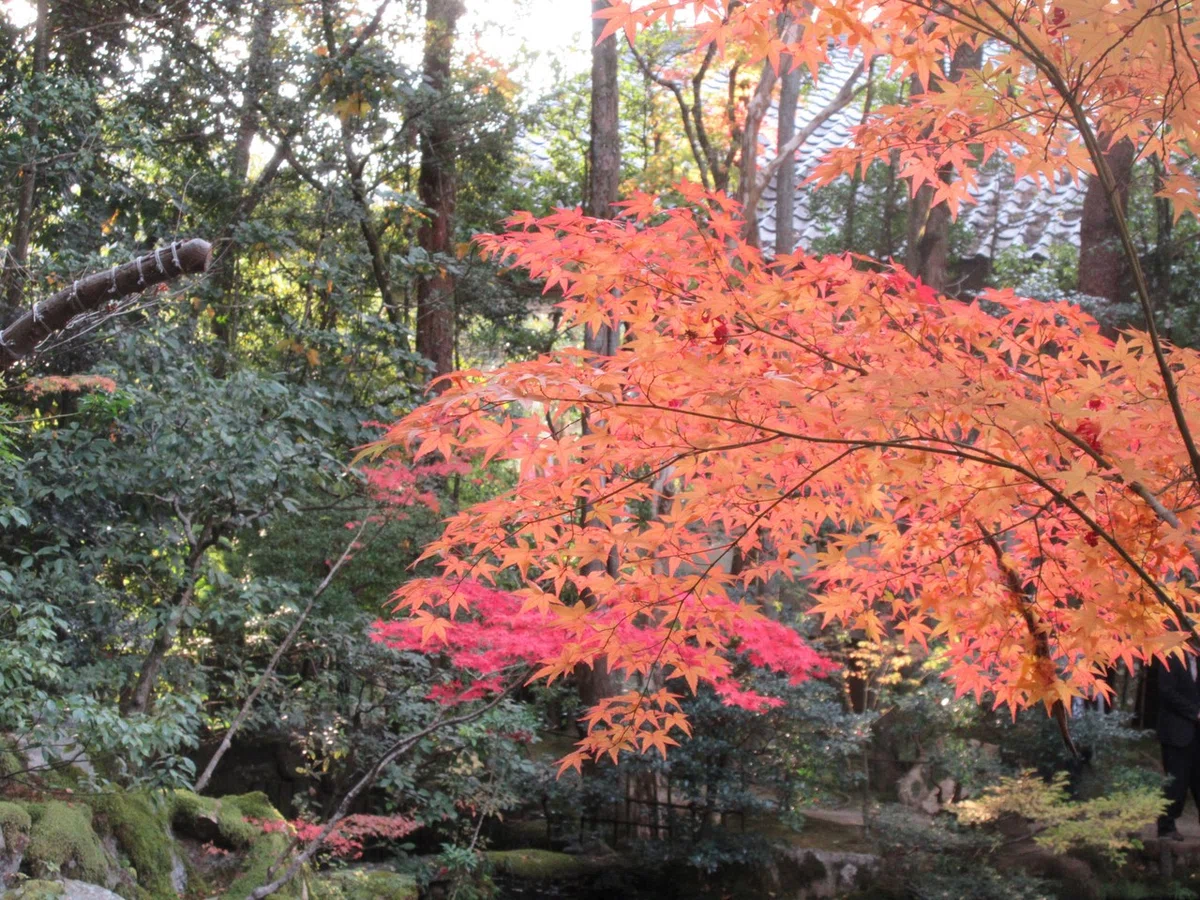 画像11