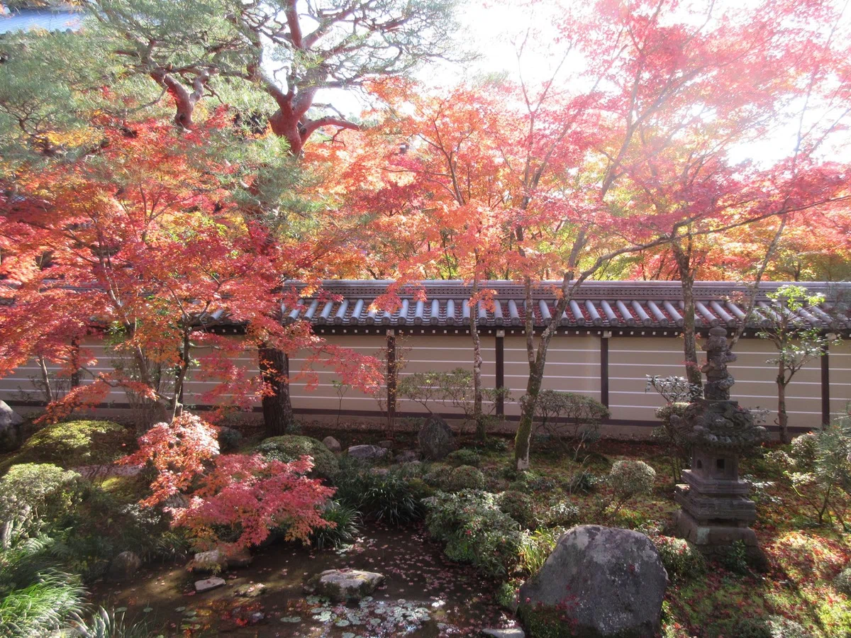 画像15