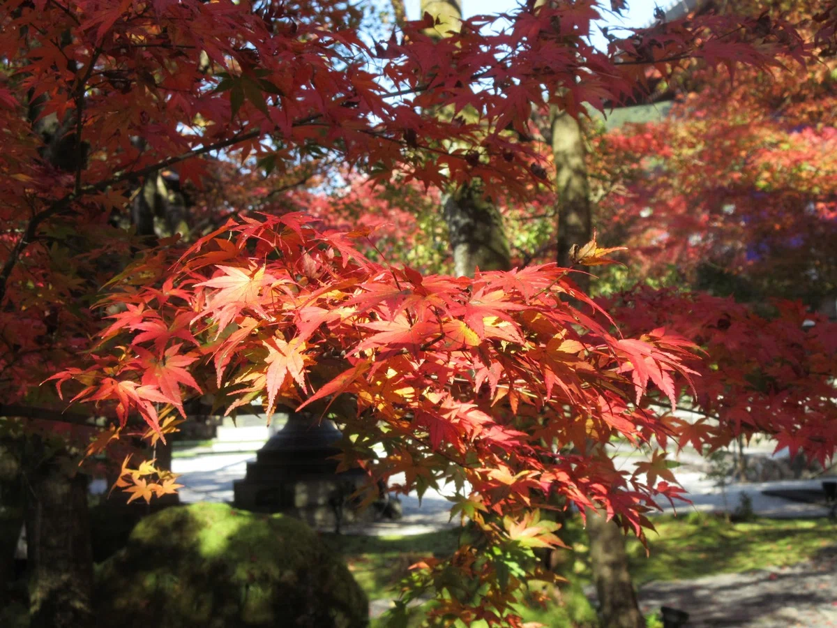 画像18