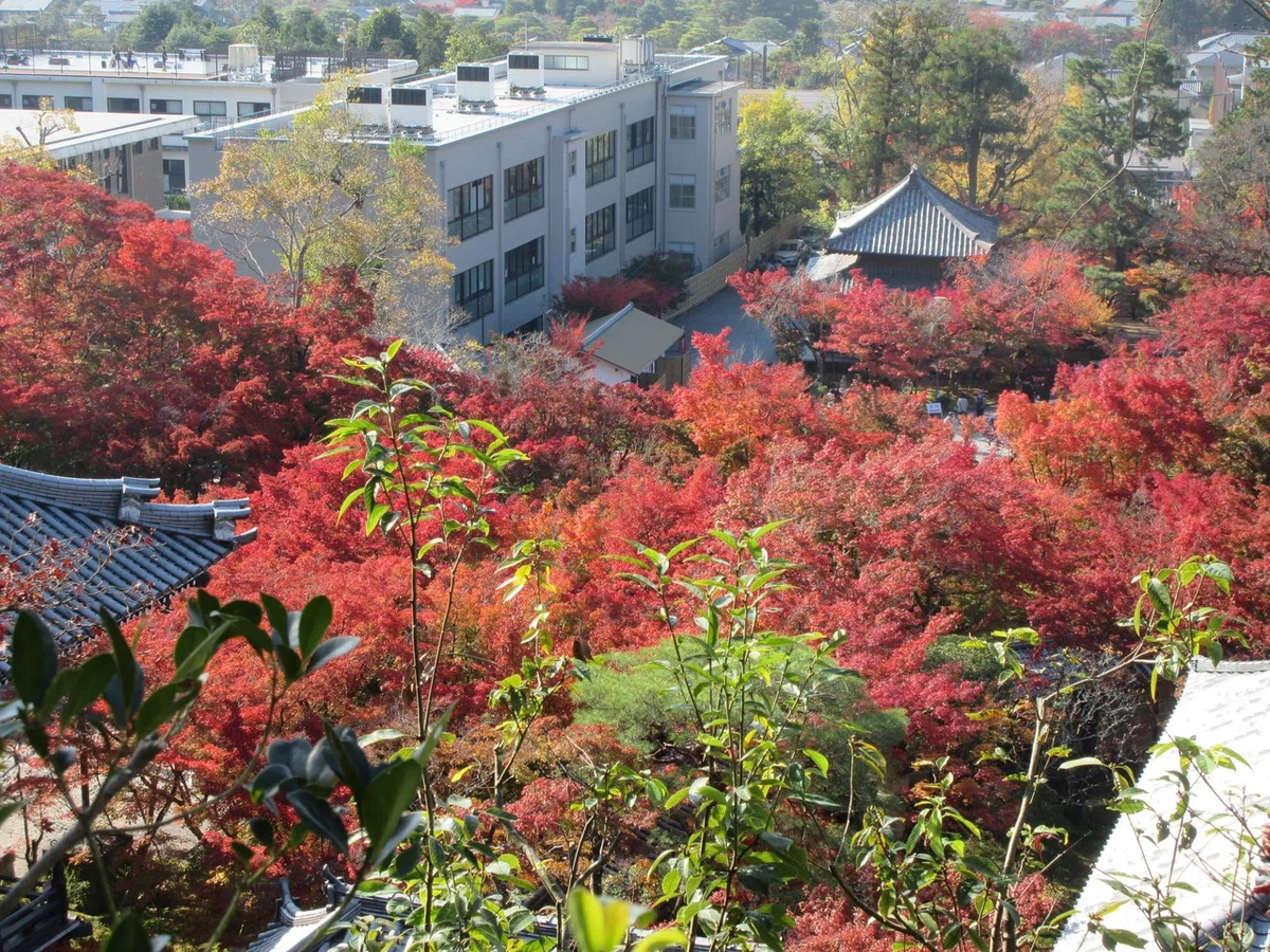 画像19