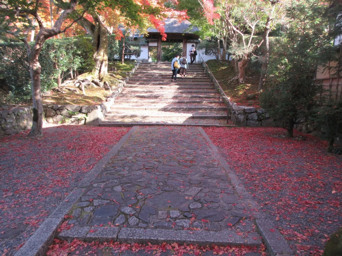 画像24