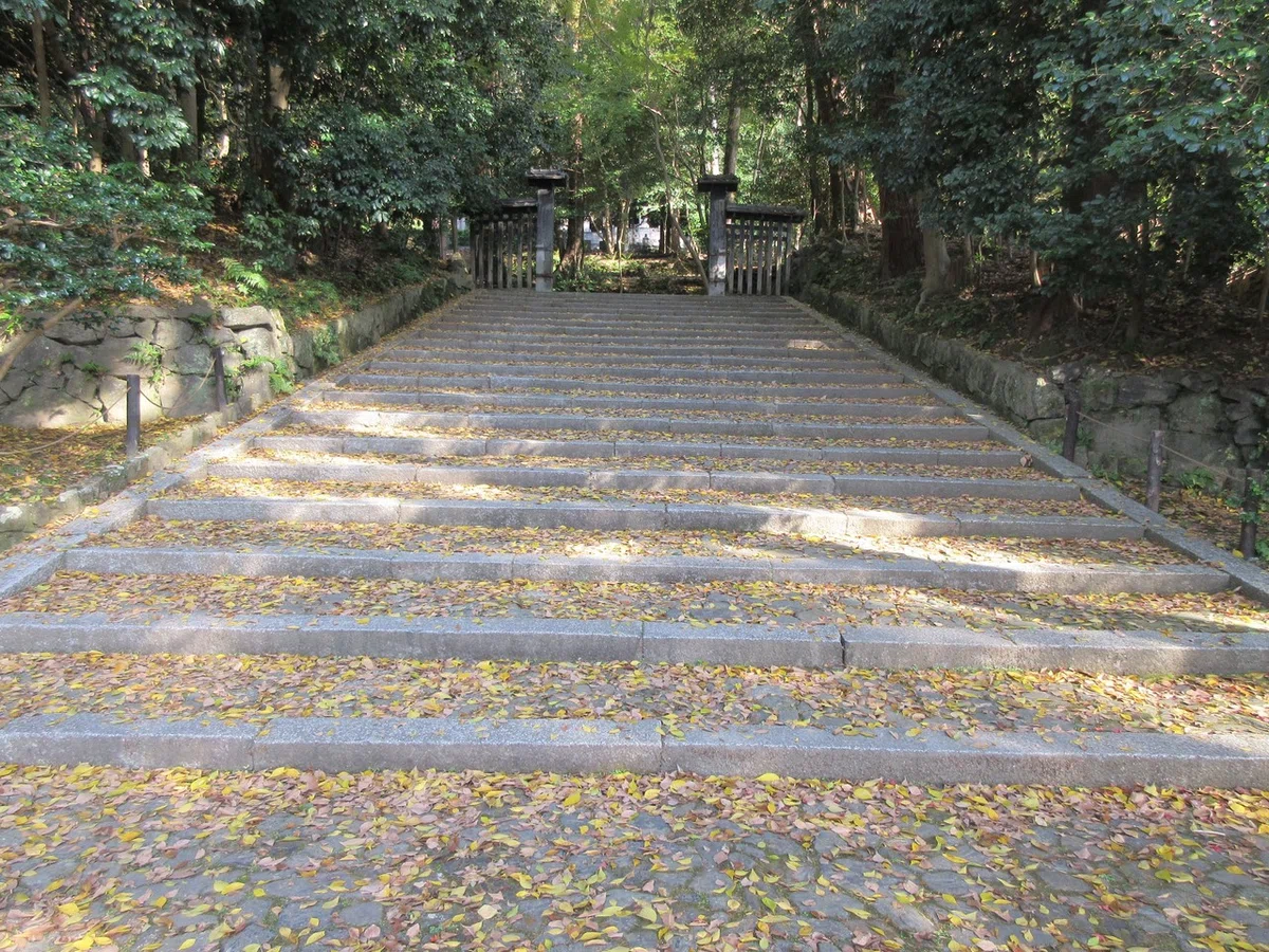 画像28
