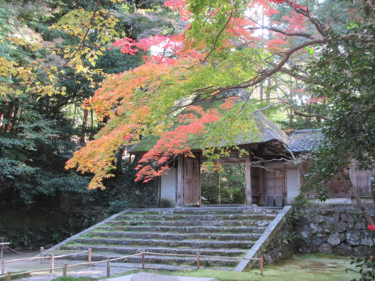 画像29