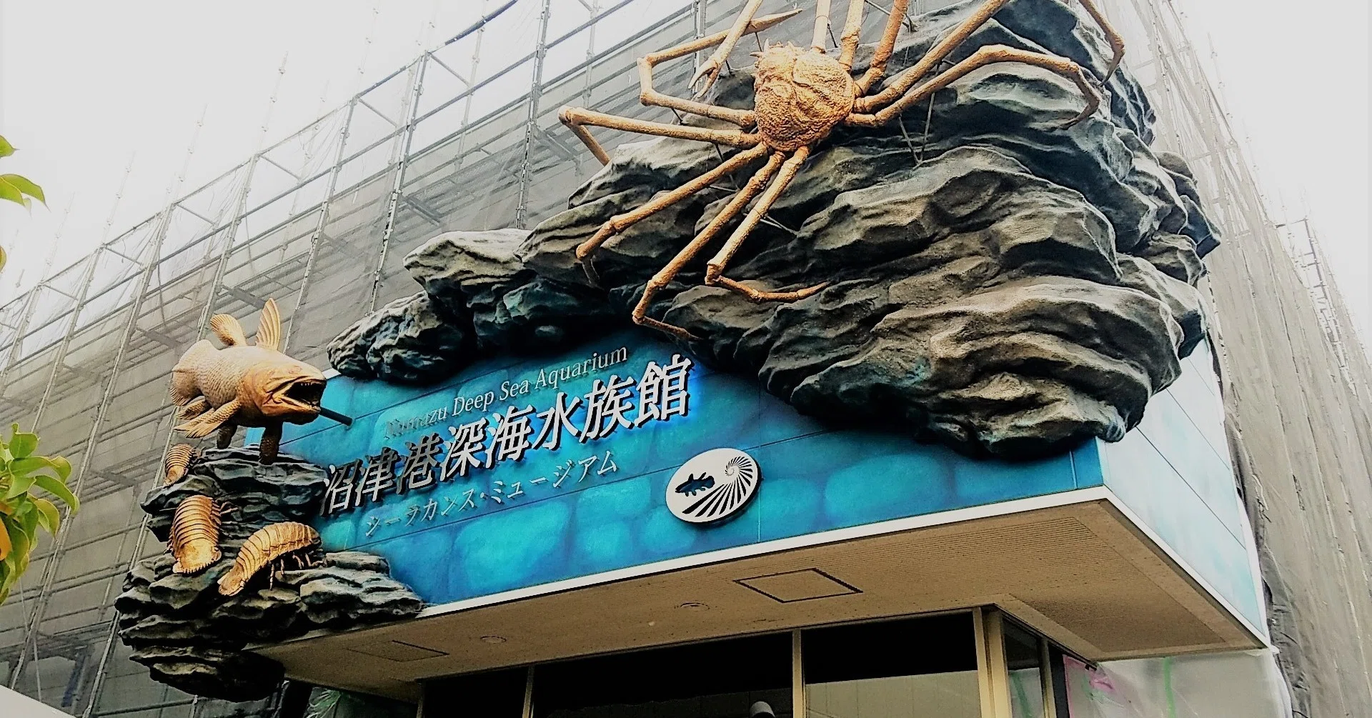 沼津港深海水族館に遊びに行ってきた！｜𝕄𝕠𝕞𝕠𝕟𝕛𝕚