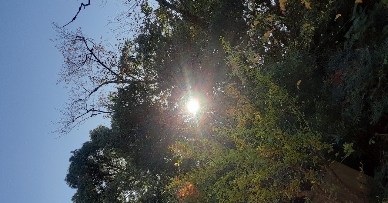 共感できない時は 一度 その人 になってみる 傾聴とは 自分の考えや経験 を横に置くこと 山口あゆき あゆゆ note