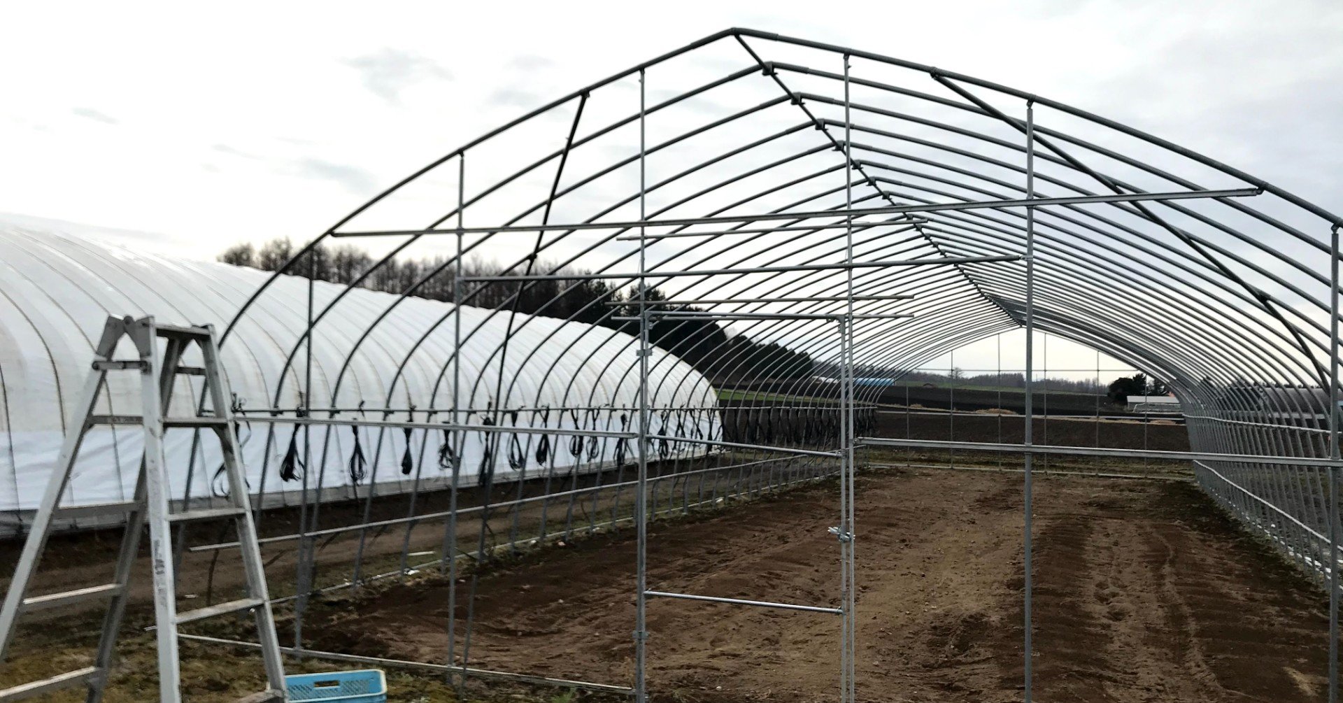 今季の農作業終了、ビニールハウスのビニールを初めて1人で片付ける