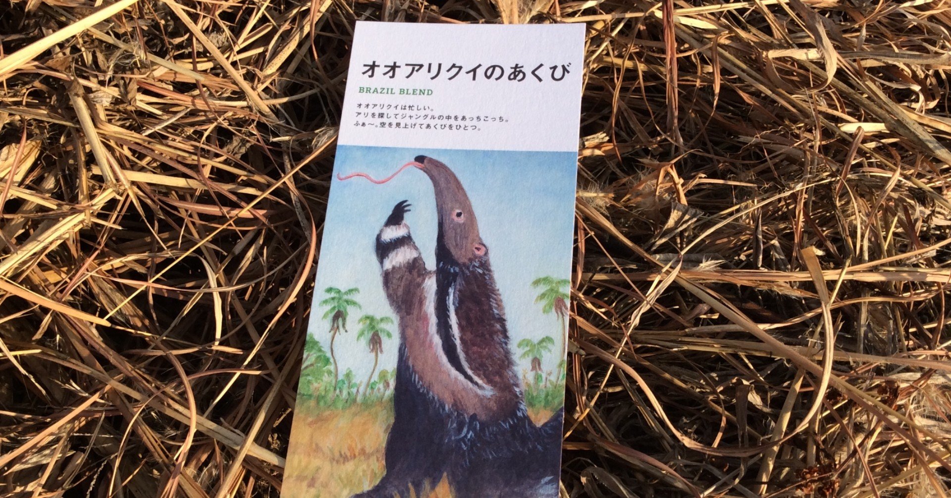 ブレンド珈琲 オオアリクイのあくび 珈琲とおやつ タコのまくら Note