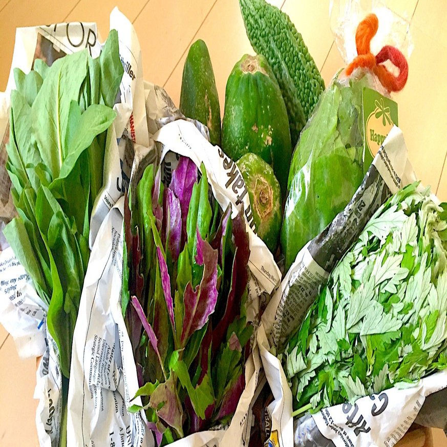 パンチの効いた沖縄の伝統野菜 フーチバー 玉城久美子 食 暮らし 沖縄 Note