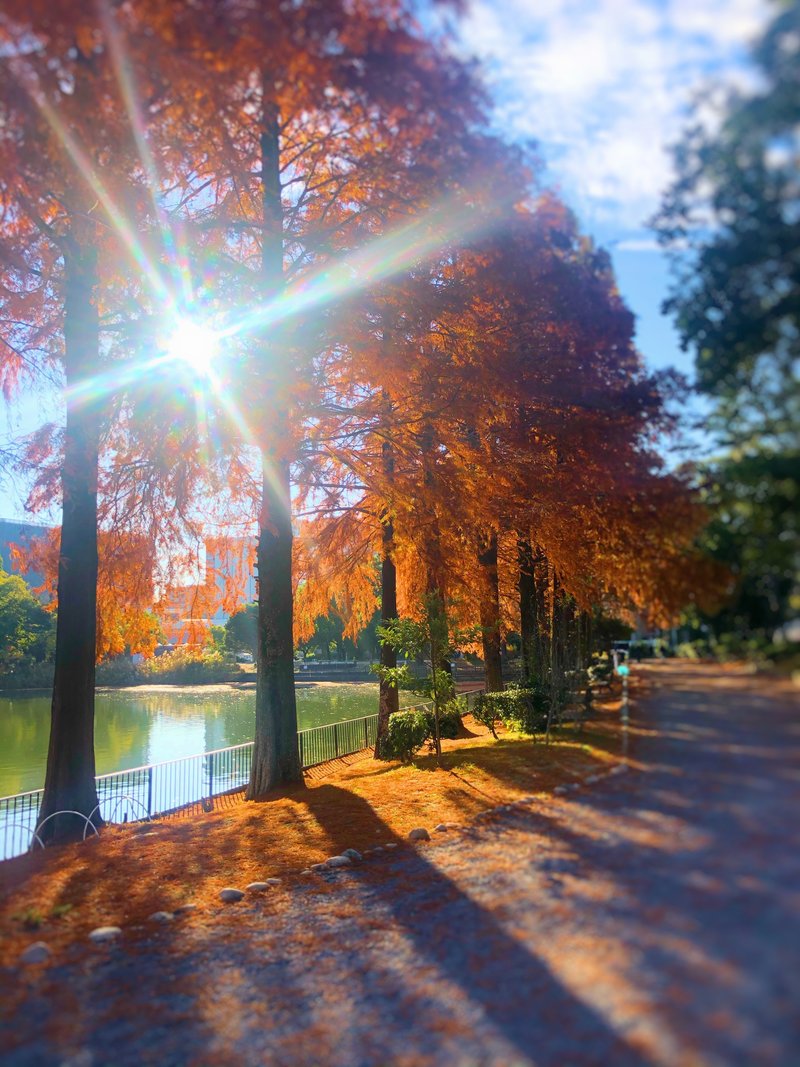 心が洗われる美しさ の新着タグ記事一覧 Note つくる つながる とどける