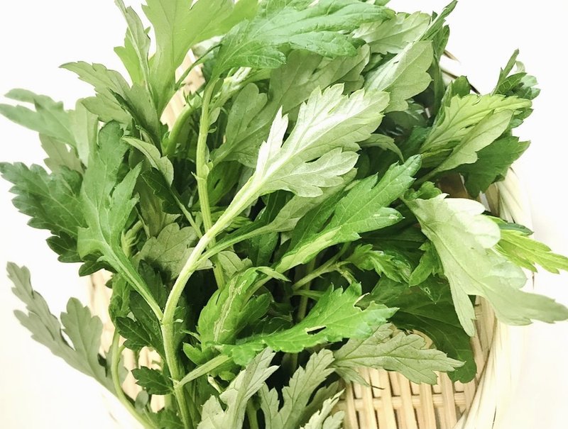 パンチの効いた沖縄の伝統野菜 フーチバー 玉城久美子 沖縄 食 暮らし Note