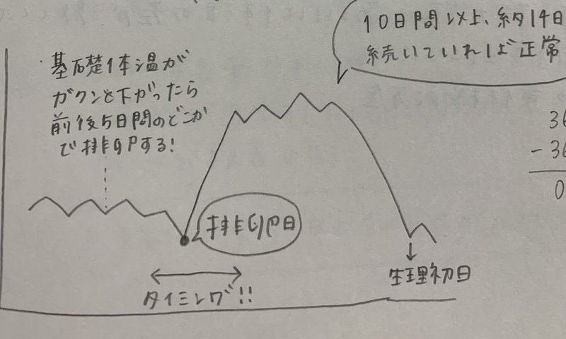 基礎体温は測定すべき 基礎体温と妊活の付き合い方 もも 小児科看護師 Note