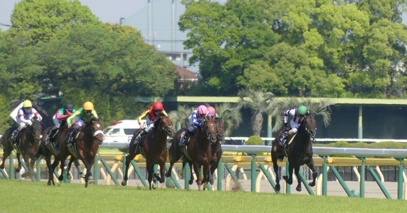 重賞獲るぞ🔥 今日の重賞レースは
・東京12Rジャパンカップ(G1)芝2400m
・阪神12R京阪杯(G3)芝1200m