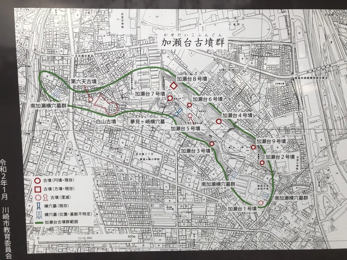 画像4