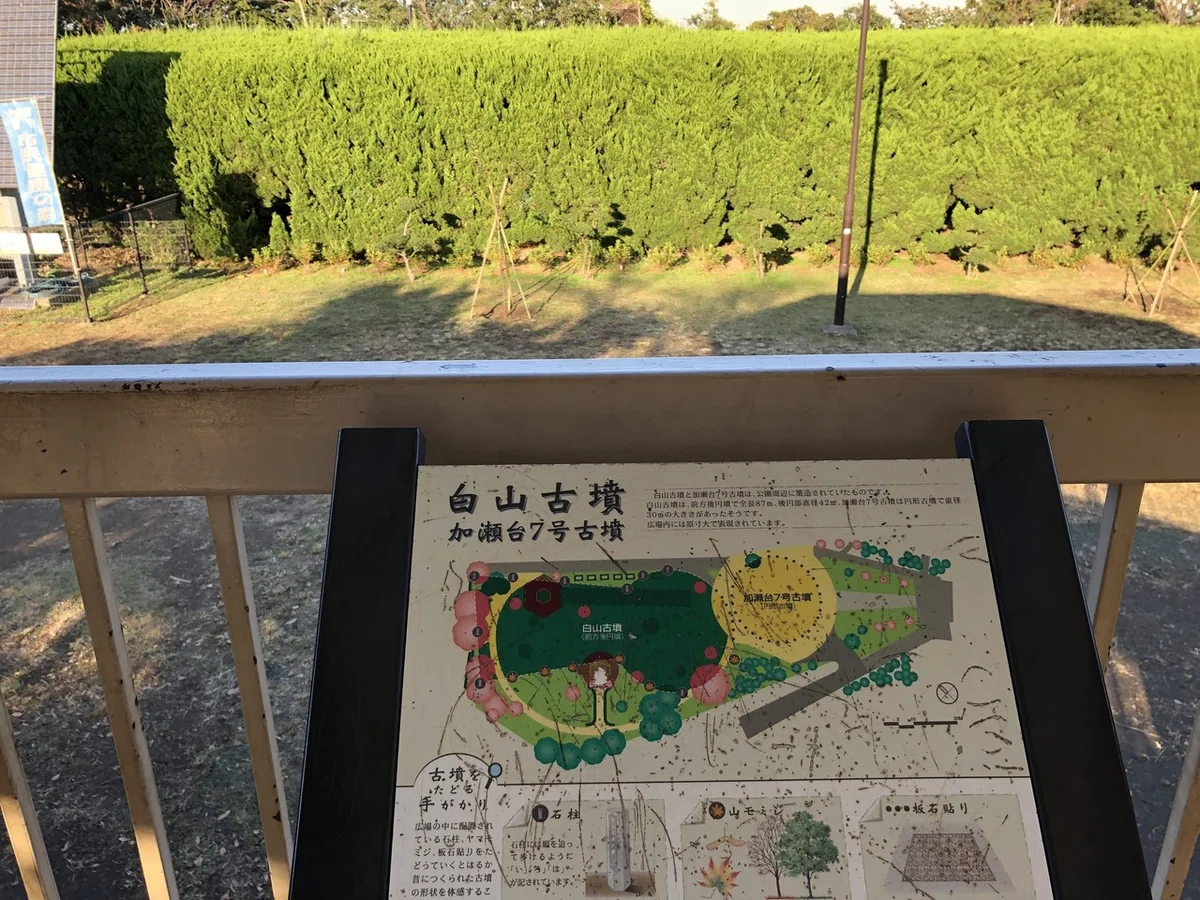 画像6
