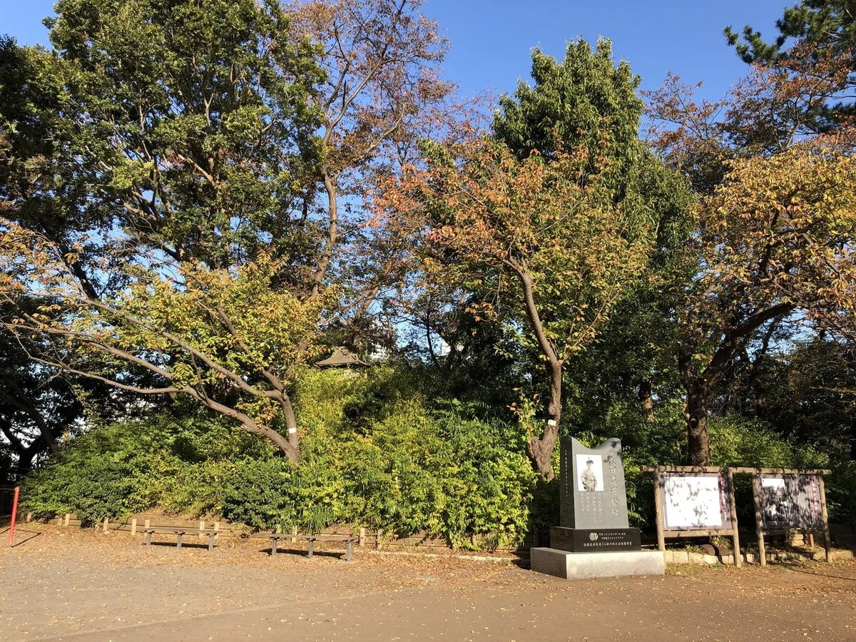 画像7