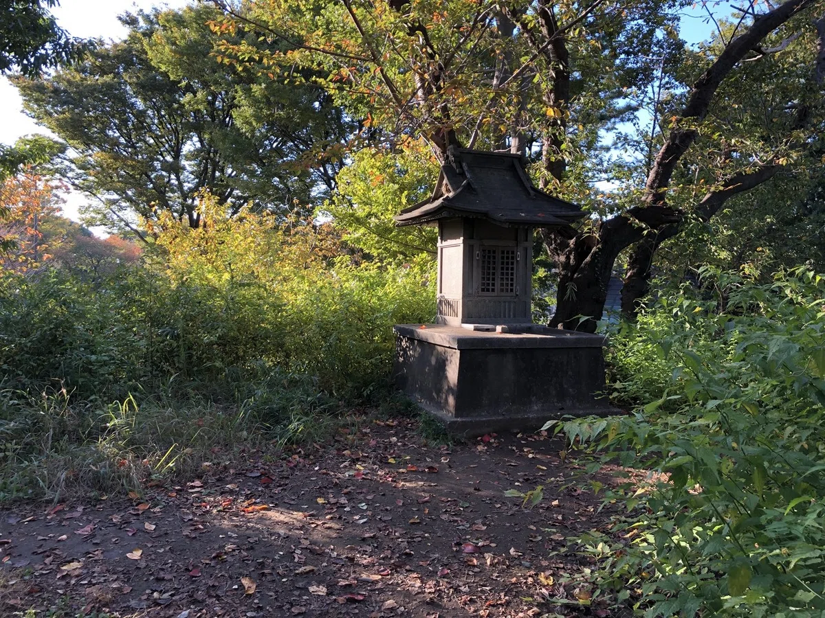 画像7