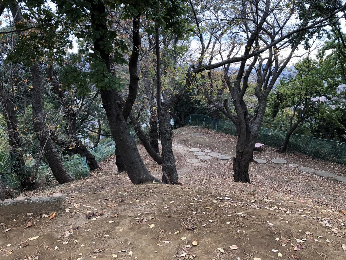 画像8