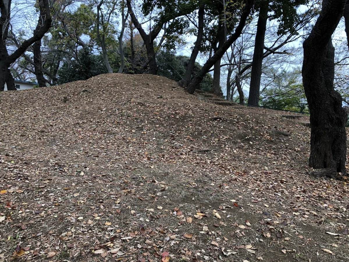 画像9
