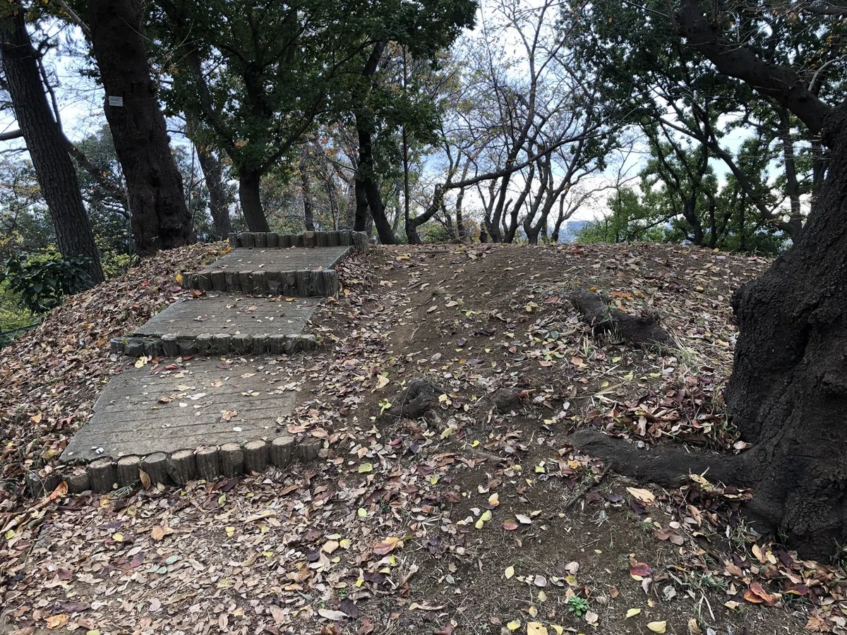 画像10