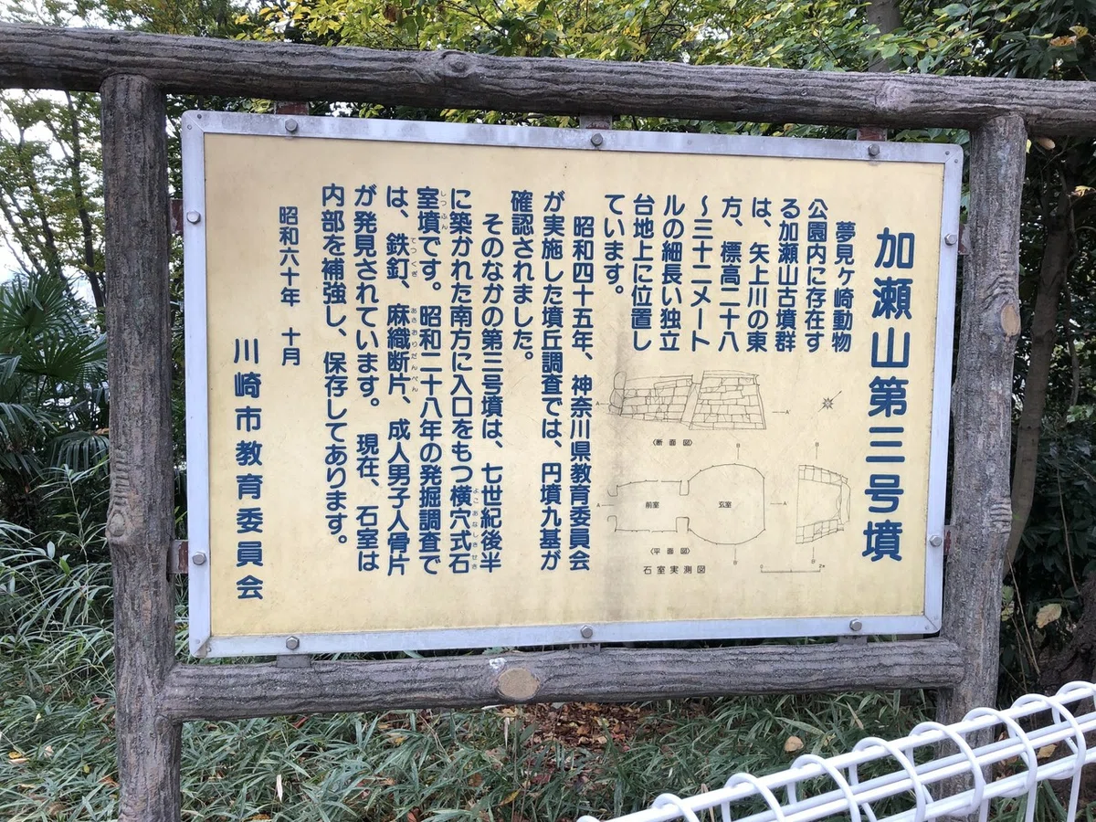 画像11