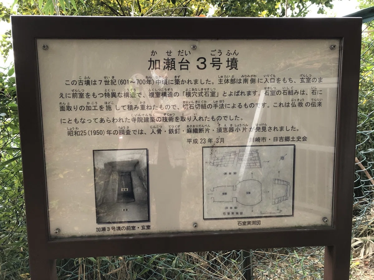 画像12