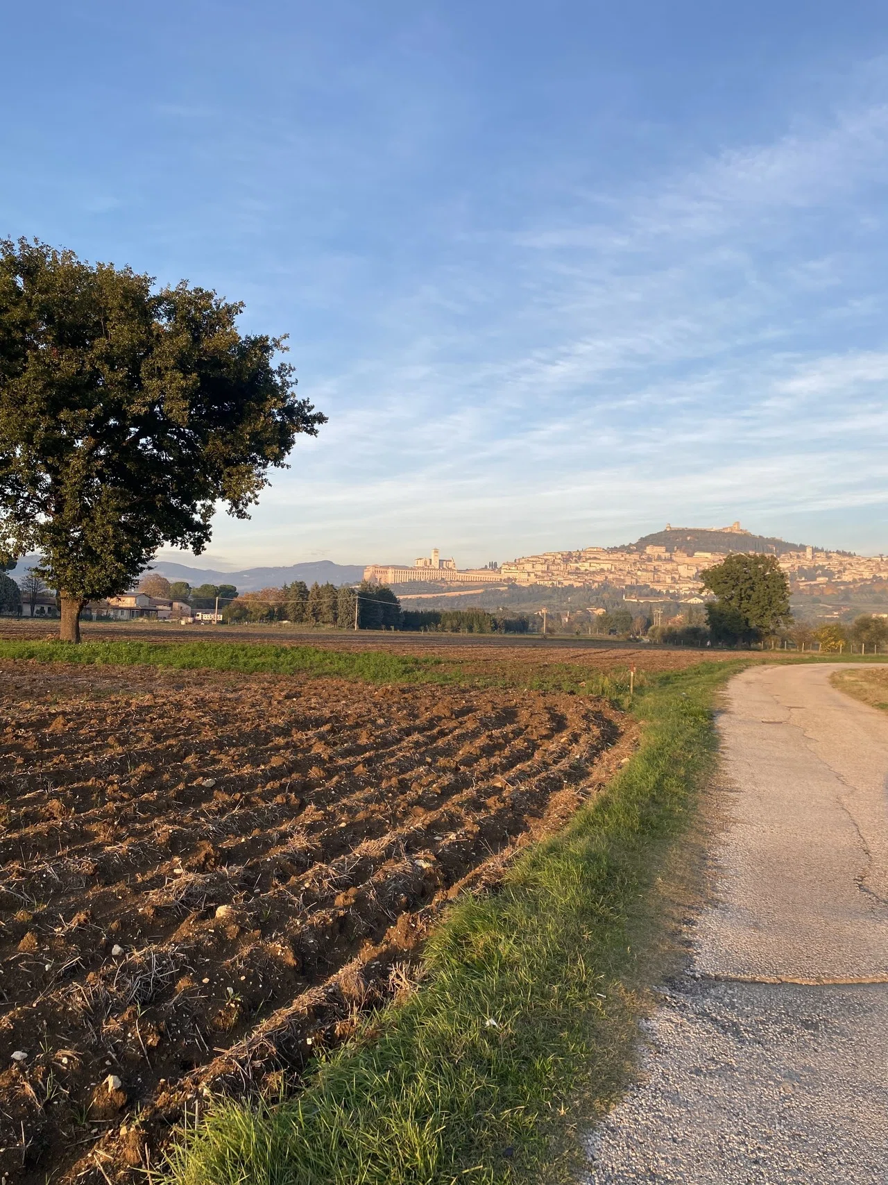 前編】アッシジ(Assisi)の歩き方:中世イタリアの街並みを味わう 前編】アッシジ(Assisi)の歩き方:中世イタリアの街並みを味わう