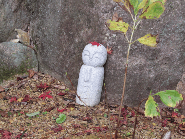 柳谷観音楊谷寺のお地蔵様。よく見たら紅葉の帽子被っておられます😁。偶然かな。