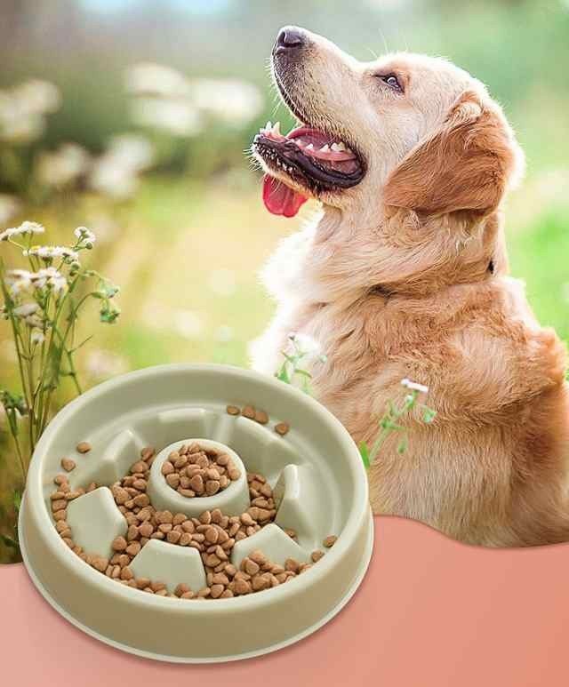 犬と飛行機チェックイン手続き 体重秘話 Oriverのブログ
