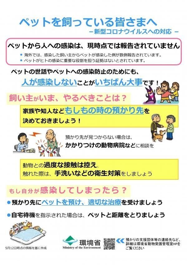 猫コロナ　大分県サイト　2030794