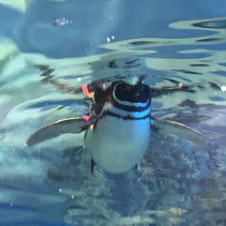 ひたぺん 働く女 Note