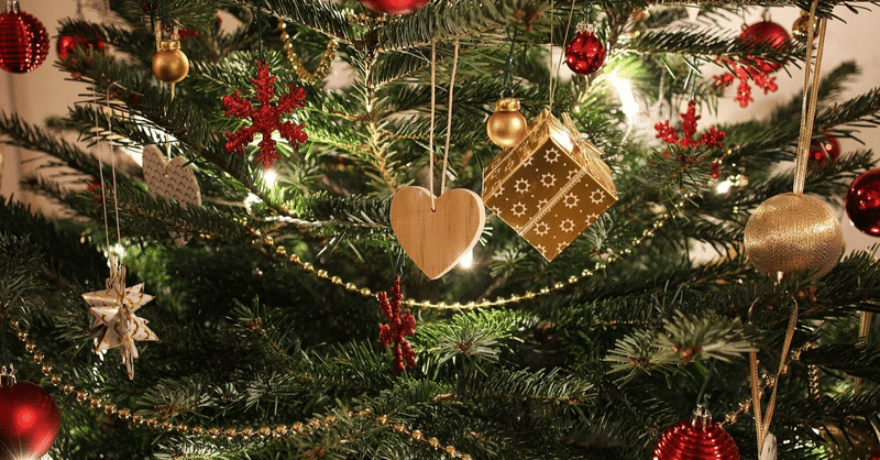 クリスマスツリーを購入した話 娘たちの喜びに感動しました ケンイチ Note