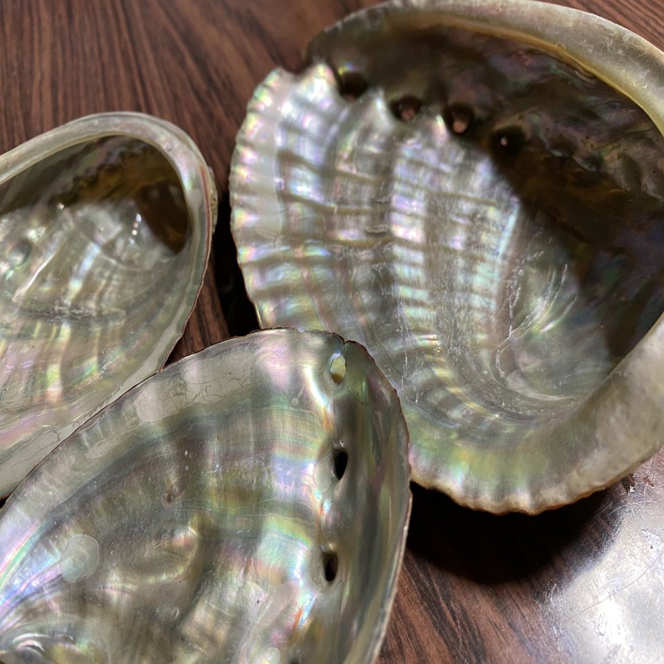 貝殻の真珠層を取り出す試み Noriaki Kawanishi 田舎暮らしデザイナー Note